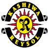 柏太阳神logo